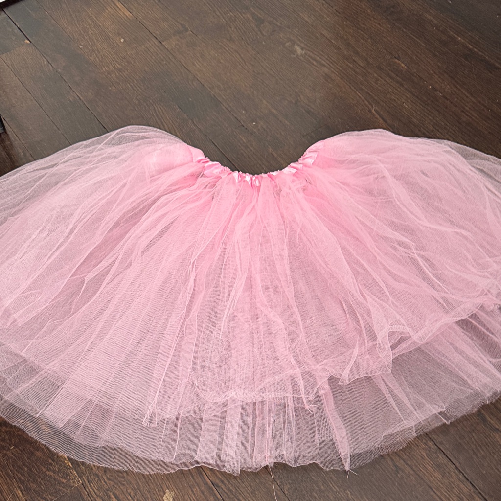 Pink Tulle Skirt Adult Preowned Pink Tulle Skirt Adult Preowned